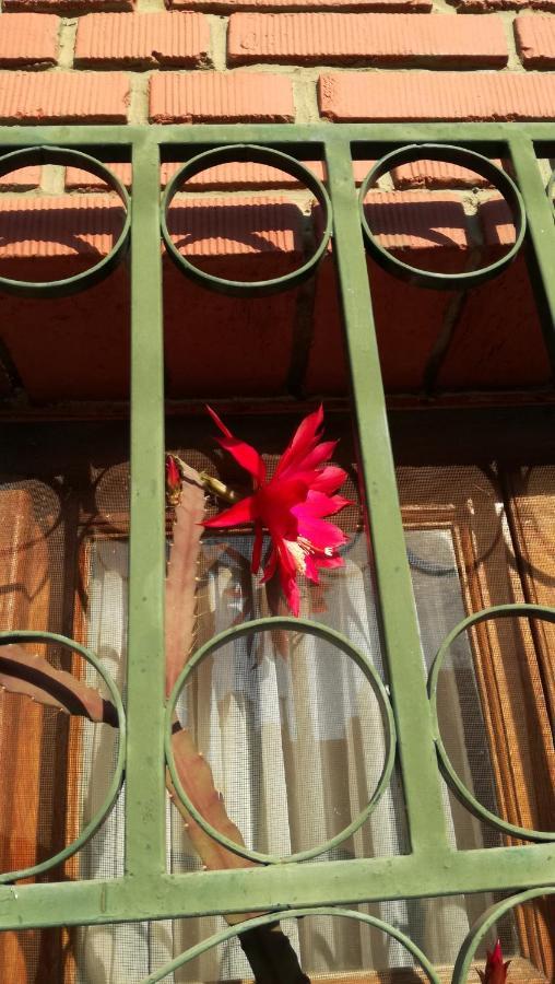 Bed and Breakfast Lo de Su Salta Exterior foto